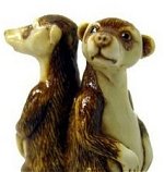 Meercats